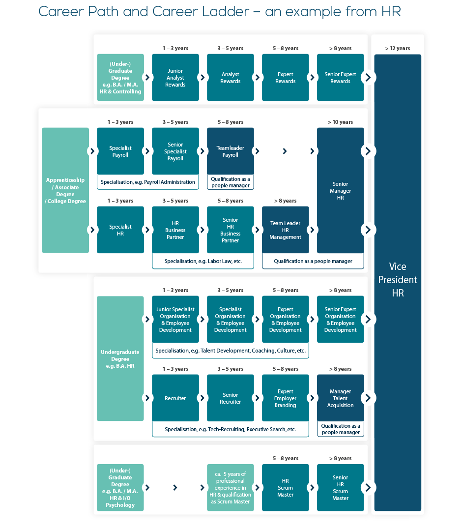 Professional Career Paths And Career Ladders